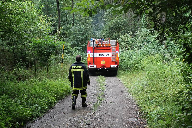 Proč shořela chata v Prosečnici na Benešovsku, zjišťují nyní policisté.