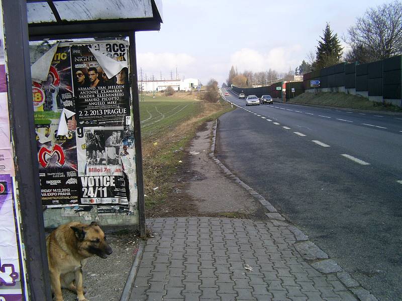 Geneze autobusové zastávky nedaleko benešovské Pavlíkovy ulice.