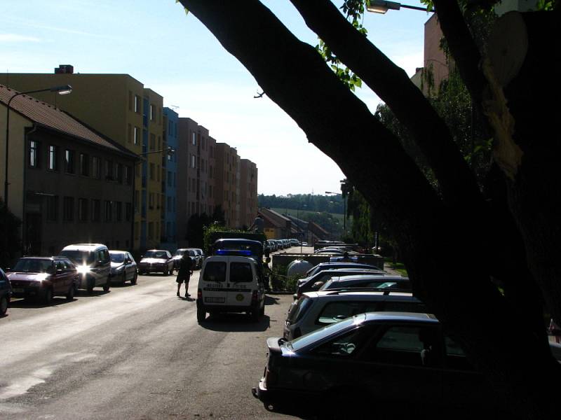 Obřez stromu na chvíli zablokoval dopravu na Bezděkově