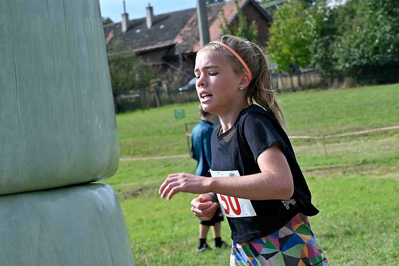 Zaječický bůr 2020. Foto: Richard Karban