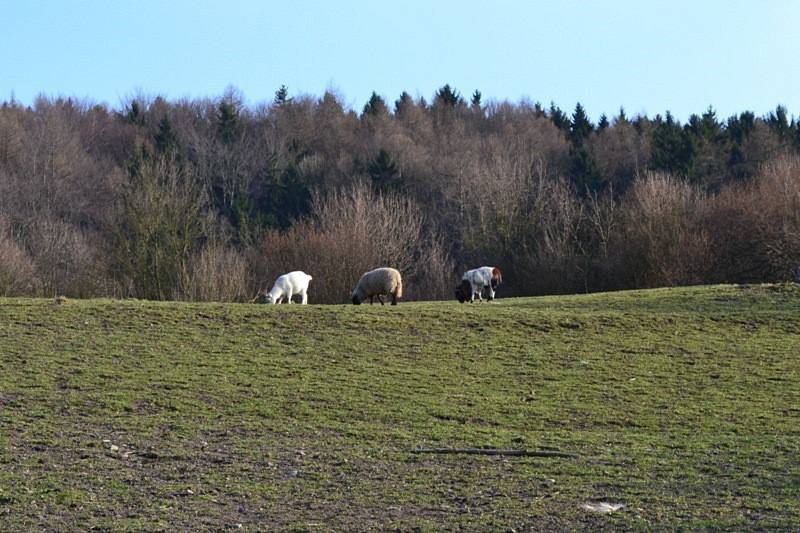 Předjaří.