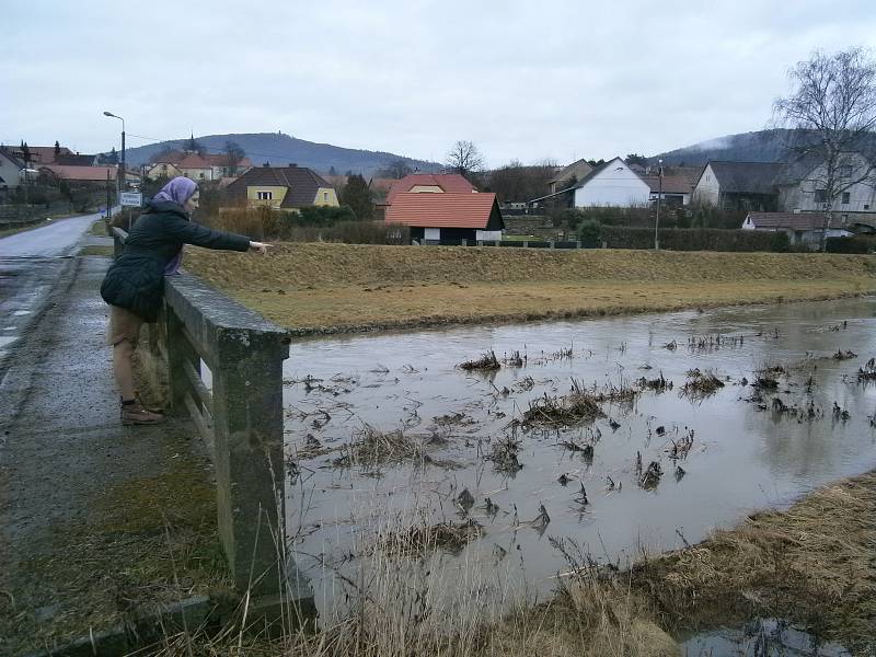 Louňovice pod Blaníkem - Stačilo, aby roztál všechen napadlý sníh a párkrát zapršelo. Aktuálně povodí Vltavy hlásí, na svých webových stránkách, první stupeň povodňové aktivity na území řeky Blanice. Rozvodnění řeky je možné sledovat již ve středu ráno v 