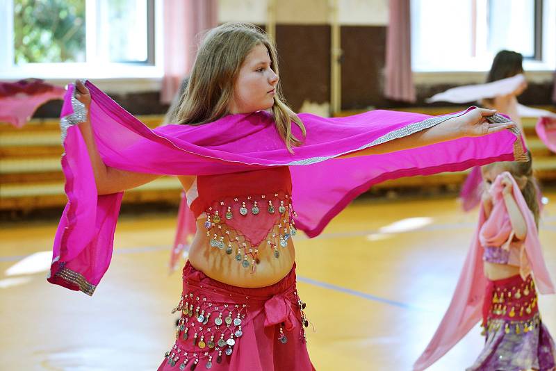 Příznivci orientálního tance se sešli v sobotu 18. května v Sázavě, aby zde v místní sokolovně navštívili vystoupení dvaceti členek kroužku orientálního tance.
