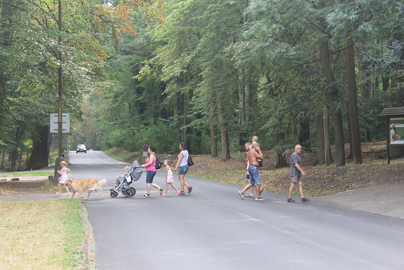 Silnici v Konopišti chybí vodorovné značení.