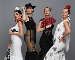 Vlašimský zámek se bude ve čtvrtek večer vlnit v rytmu flamenka.