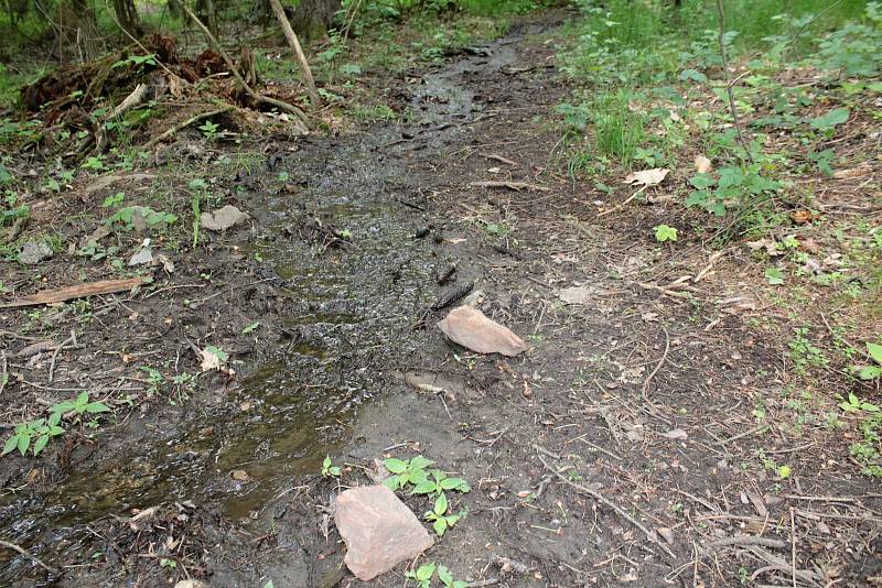 Udržet vodu v městské krajině pomůže v Týnci nad Sázavou výstavba tůněk na strouze mezi garážemi a ulicí K Zeleným vratům.