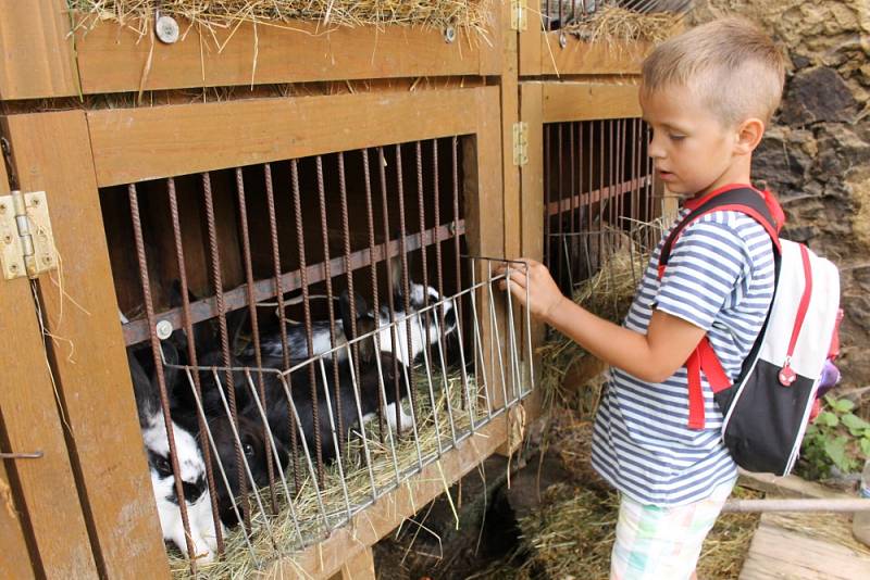 VlčkoviceFest stále pokračuje. Teprve až v neděli ráno se přítomní rozloučí bohoslužbou pod širým nebem.