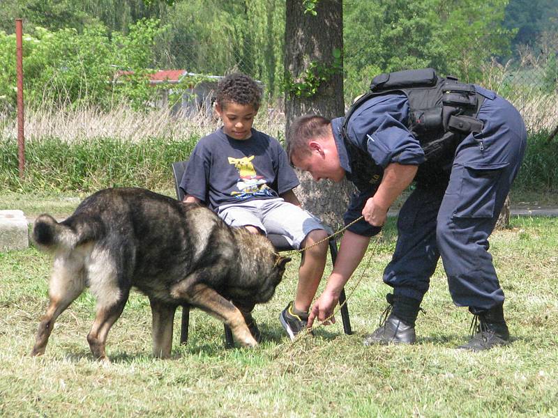 Policejní psovodi předvedli školákům čtyřnohé parťáky.