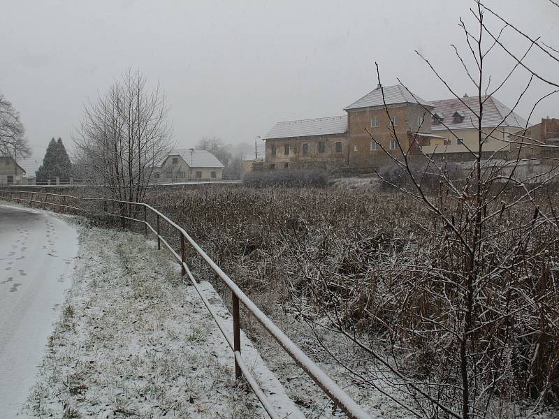 Pivovarský rybník v Louňovicích pod Blaníkem v lednu roku 2021.