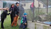 Nemocná zvířata našla domov v záchranné stanici v Pavlovicích.