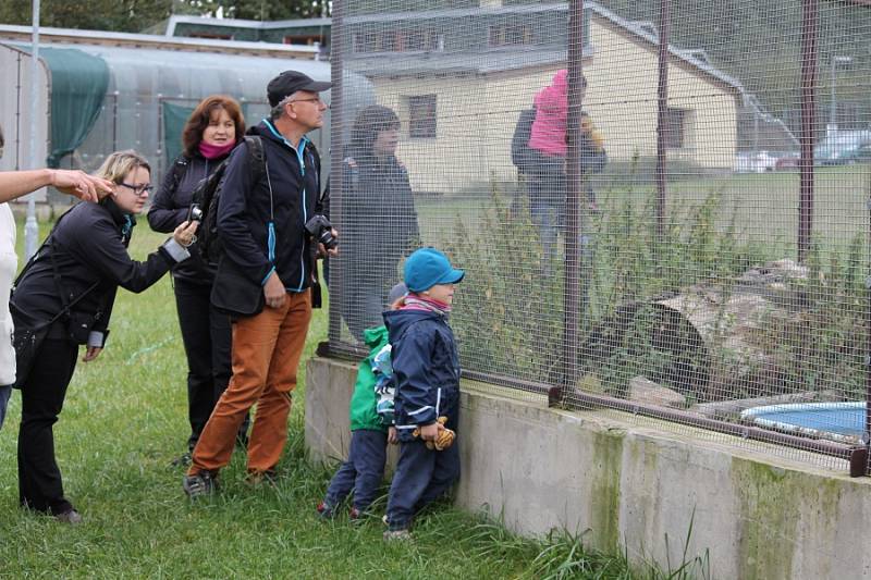 Nemocná zvířata našla domov v záchranné stanici v Pavlovicích.