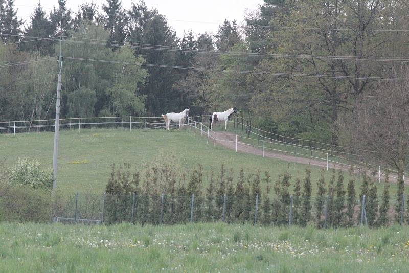 Fotokvíz: Poznáte obec na Benešovsku?