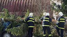 Ve vlašimské Lidické ulici padl dnes, v pondělí 1. března strom na zaparkovaný vůz.