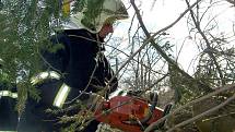 Ve vlašimské Lidické ulici padl dnes, v pondělí 1. března strom na zaparkovaný vůz.