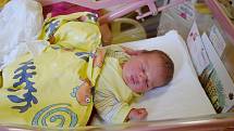 Bára Košatová se v benešovské porodnici narodila 24. srpna 2022 ve 23 hodin a 51 minut. Po porodu vážil 3780 gramů. Do Vlašimi si jej za šestiletým bráškou Adamem odvezli rodiče Iva s Davidem.