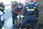 Psa zachránili kladenští strážníci a hasiči.