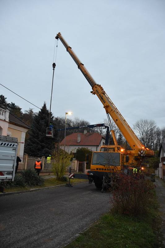 Slánský vánoční strom vyrostl V Ráji.