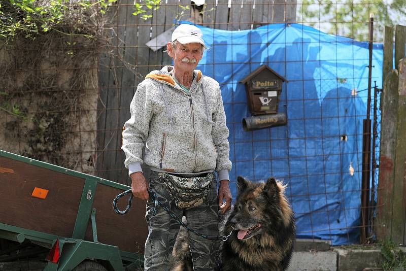 Manžel Dagmar Harigelové (na snímku) pomáhá partnerce nyní se třinácti psími svěřenci.