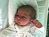 MATOUŠ VOPRAVIL, NESUCHYNĚ. Narodil se 2. února 2019. Po porodu vážil 4 kg a měřil 51 cm. Rodiče jsou Tereza Vopravilová a David Vopravil. (porodnice Kladno)