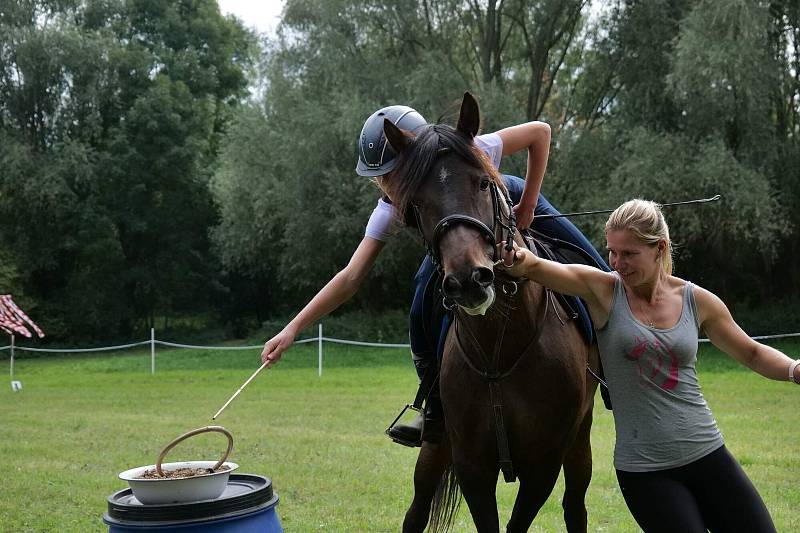 Tradiční sportovní víkend s koňmi se konal v Drchkově.