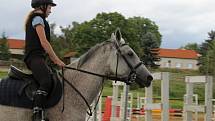 Jezdecký areál v Černuci s vnějším kolbištěm, osvětlenou jízdárnou a halou nabízí kvalitní podmínky jak pro rekreační ježdění, tak i pro přípravu skokových a drezurních koní.