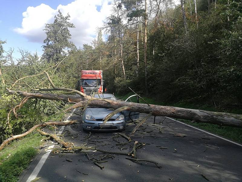 Na jedoucí auto u obce Stehelčeves spadl mohutný strom.