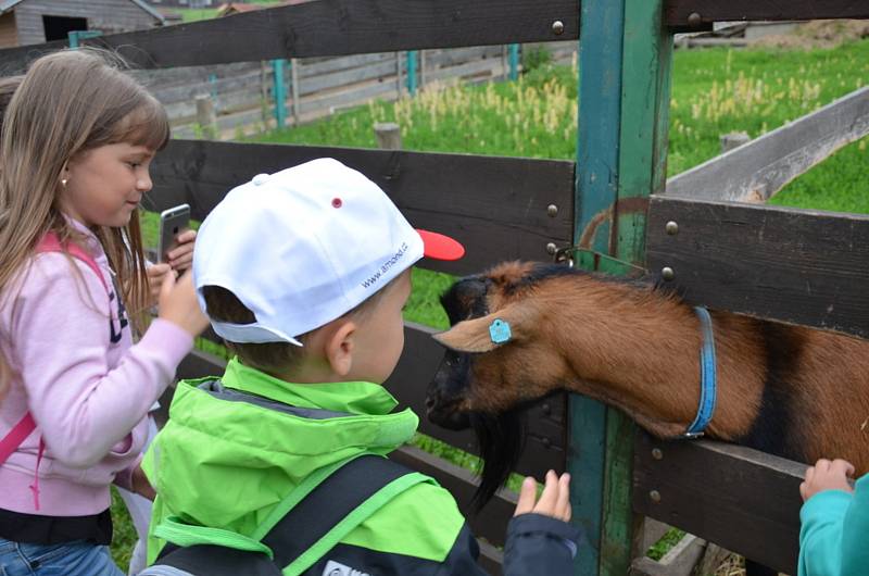 Žáci ze Základní školy v Jiráskově ulici v Kladně-Švermově na exkurzi v Avesu.