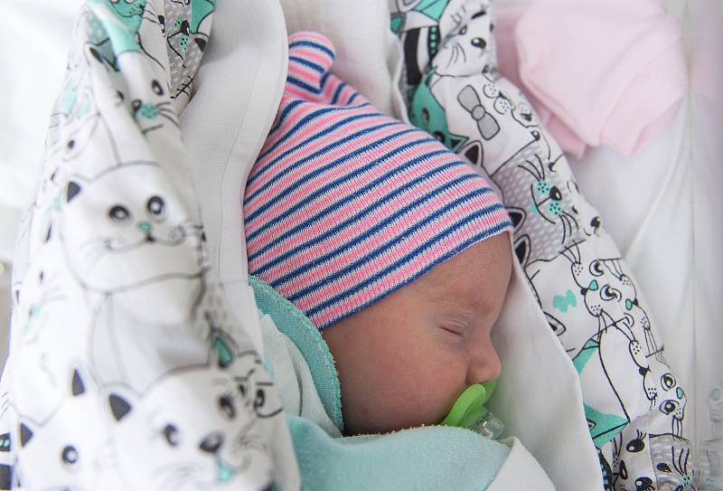 Emilie Fouňová se narodila v nymburské porodnici 1. února 2021 v 6.02 hodin s váhou 2700 g a mírou 45 cm. Do Budiměřic si prvorozenou holčičku odvezou maminka Zdenka a tatínek Milan.