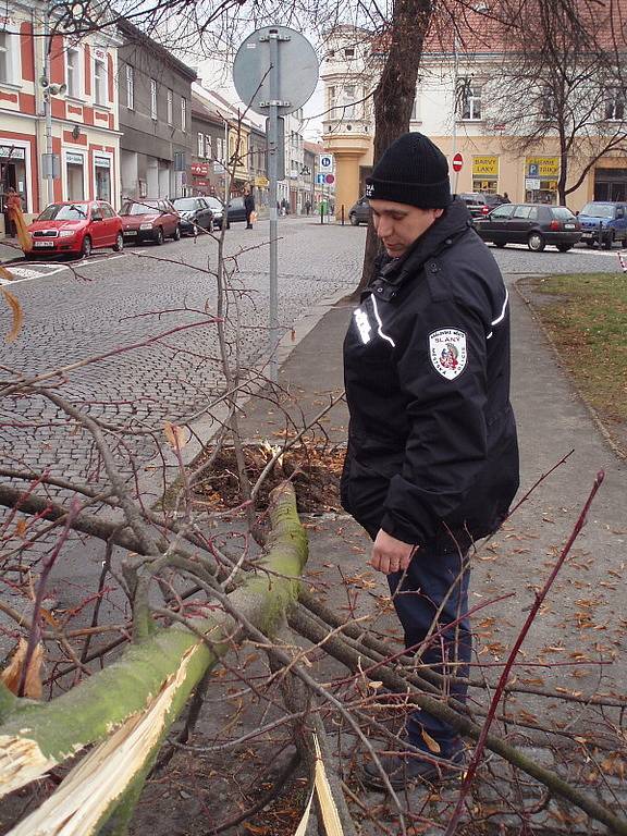 Dvacetiletý řidič skolil nemilosrdně lípu na slánském náměstí.Strom je definitivně zničený. Ke zranění naštěstí nedošlo.Škoda na dřevině je ale značná, nahradit by ji měl viník.