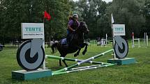 Tradiční sportovní víkend s koňmi se konal v Drchkově.