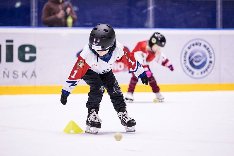 Na akci Pojď hrát hokej přišlo do Kladna rekordních 85 dětí.