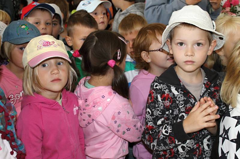 Výstava Růže a květy podzimu. Volba Nejkrásnější růže Kladenska. Dům zahrádkářů Kladno