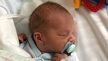 DAVID REJFEK, PRAHA 5. Narodil se 19. ledna 2019. Po porodu vážil 2,9 kg a měřil 47 cm. Rodiče jsou Barbora Rejfková a Jan Rejfek. (porodnice Kladno)