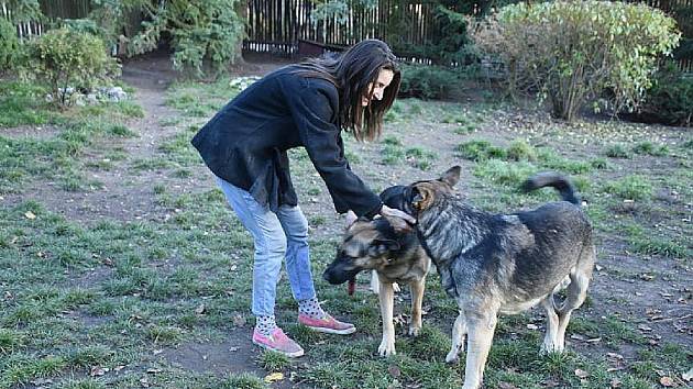 Majitelka psů Jitka Senklerová tvrdí, že oplocení je už nyní zabezpečené tak, aby psi neutíkali.