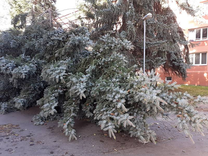 Popadané a polámané stromy v Mírové ulici ve Slaném.