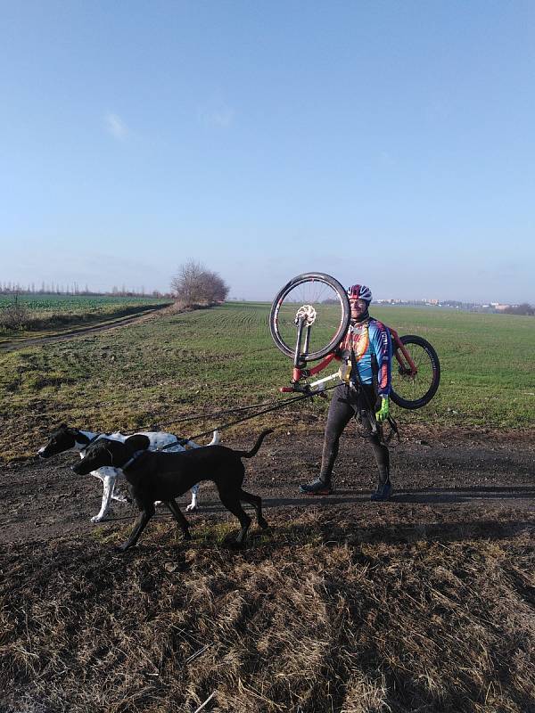 Závody psích spřežení Stochov 2019.