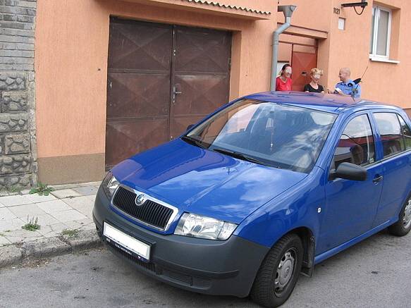  Někteří motoristé situaci řeší po svém a nelámou si hlavu s odstavením vozidla před vjezdy do garáží a domů, jiní si zase parkoviště dělají ze záhonů veřejné zeleně.