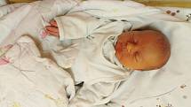 Tobiáš Dospěl přišel na svět 17. ledna 2021 v 11. 28 hodin v čáslavské porodnici. Pyšnil se porodní váhou 3380 gramů a délkou 50 centimetrů. Doma ve Vrdech se z něj těší maminka Lenka a tatínek Martin.
