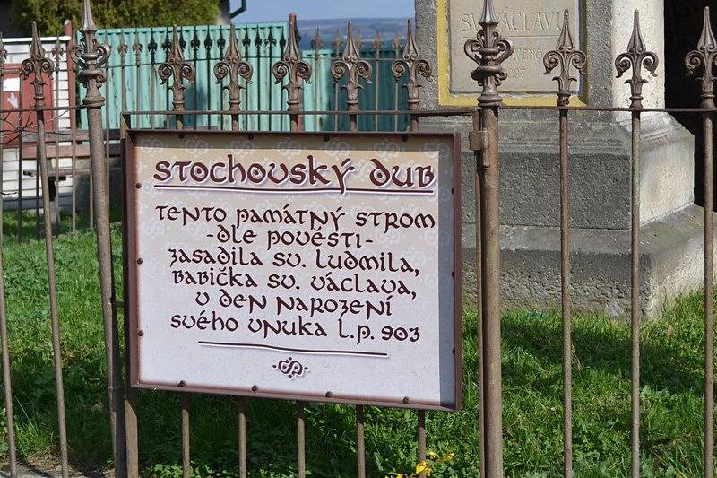 Svatováclavský dub na Stochově.