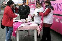 Růžový autobus v  Kladně jen za včerejší dopoledne navštívila asi  šedesátka žen. Z jarní části jeho jízdy se podařilo na podporu boje proti rakovině prsu vybrat asi 70 tisíc korun, podzimní výtěžek bude znám teprve po dnešním ukončení jízdy v Praze. 