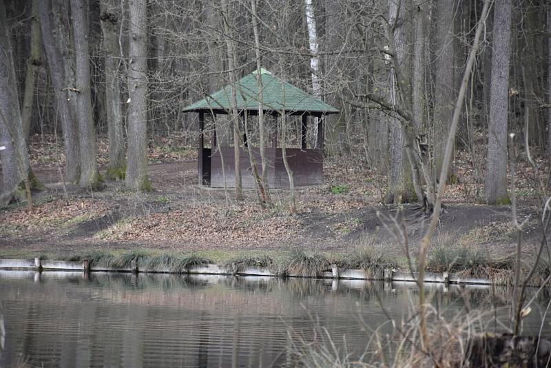 Kladenský rybník Bažantnice je plný ryb a pokračuje i úprava okolí.