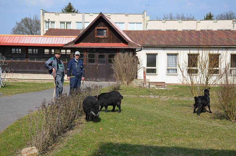 Nad Střední odbornou školou a Středním odborným učiliště Stanislava Kubra ve Středoklukách se stahují mračna. Podaří se školu zachovat?