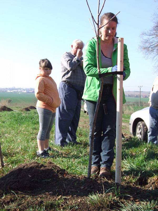 Dřetovičtí se zasloužili o vylepšení životního prostředí, zasadili totiž tři desítky ovocných stromů.