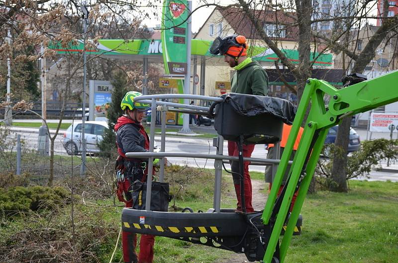 Se suchými větvemi se musí i v Kladně poradit horolezci.