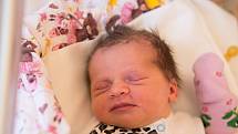 Tereza Tomíková se narodila v nymburské porodnici 20. ledna 2021 v 15:36 hodin s váhou 3530 g a mírou 45 cm. V Nymburce bude holčička vyrůstat s maminkou Janou, tatínkem Leošem a sestřičkou Kristýnou (18 měsíců).
