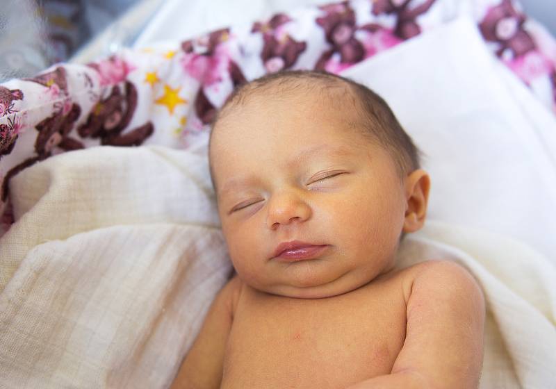 Štěpánka Remešová se narodila v nymburské porodnici 28. ledna 2021 ve 12.52 hodin s váhou 2700 g a mírou 47 cm. S maminkou Petrou a tatínkem Radkem bude prvorozená holčička bydlet v Milovicích.