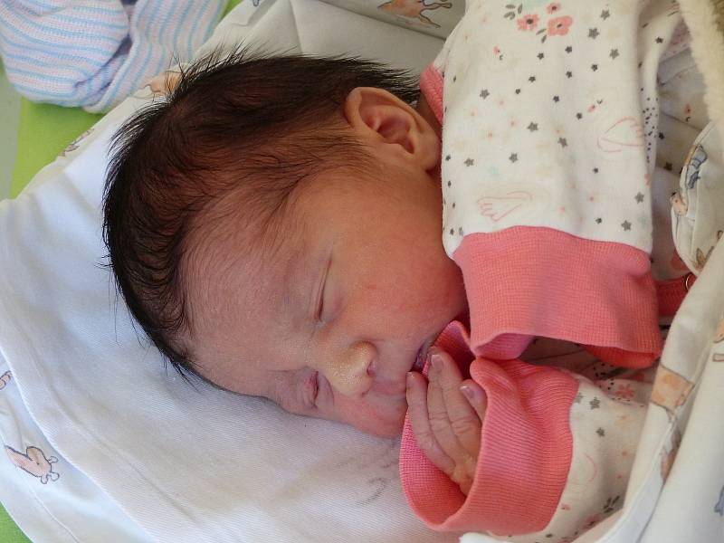 Lilien Hájiková se narodila 30. ledna 2021 v kolínské porodnici, vážila 3000 g a měřila 49 cm. V Ratenicích se z ní těší sourozenci Lukáš (18), Leontýna (10) a rodiče Monika a Richard.