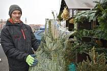 Lidé kupují vánoční stromečky ještě i na poslední chvíli, jedličky vedou.