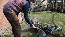 Zoopark Zájezd na Kladensku.