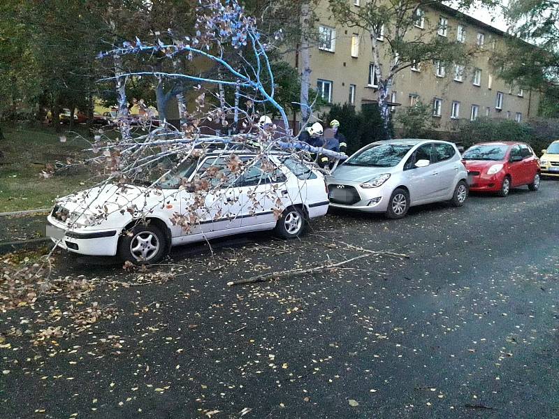 Ve Slaném řešili hasiči spadlý strom na zaparkovaná osobní auta.